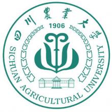 四川农业大学城乡环境与视觉设计考研辅导班