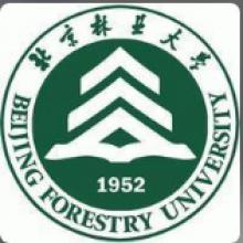 北京林业大学国际商务考研辅导班