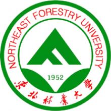 东北林业大学物流工程与管理考研辅导班